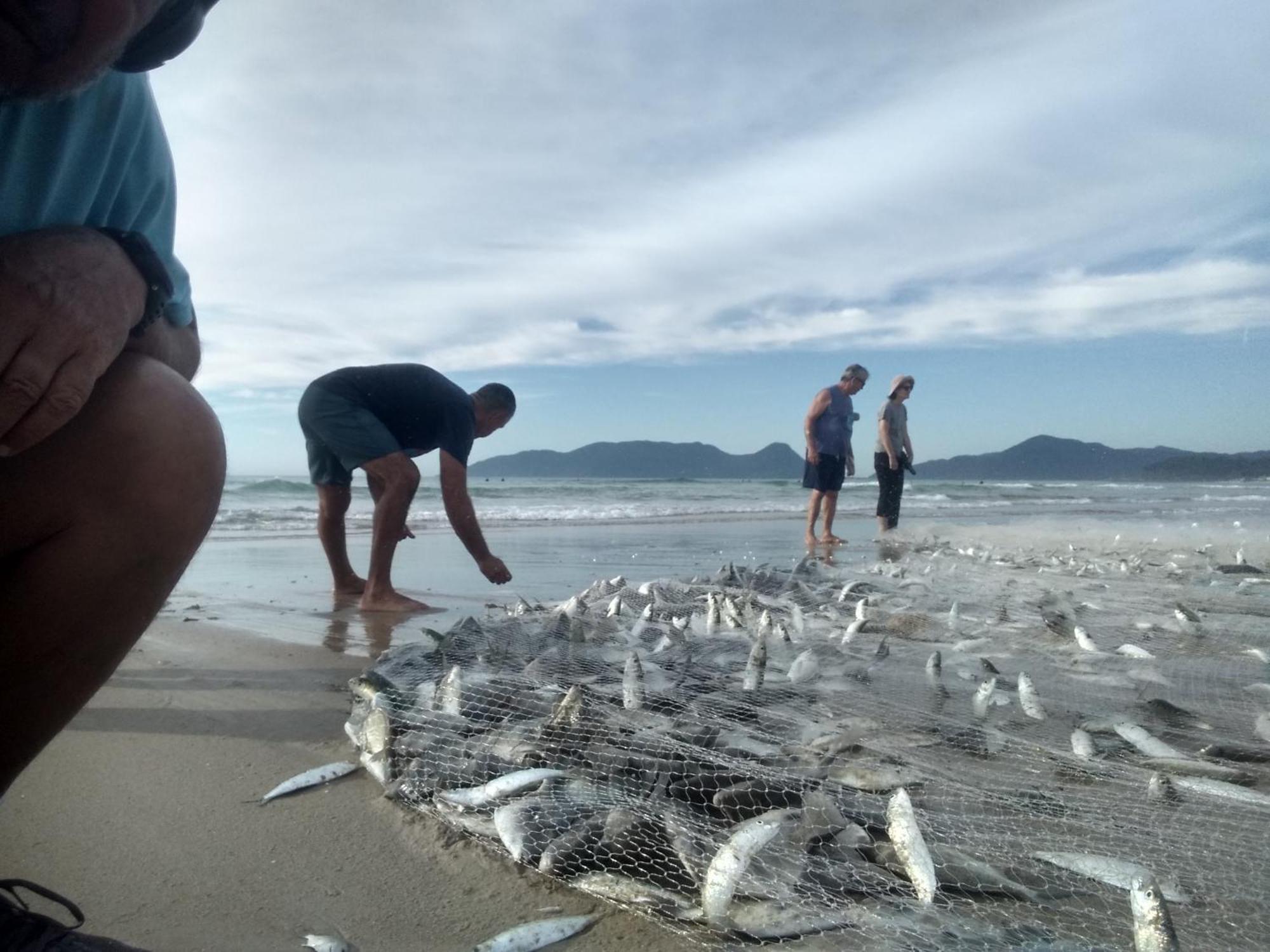 Charmoso E Moderno No Paraiso E Proximo Ao Aeroporto Florianópolis المظهر الخارجي الصورة